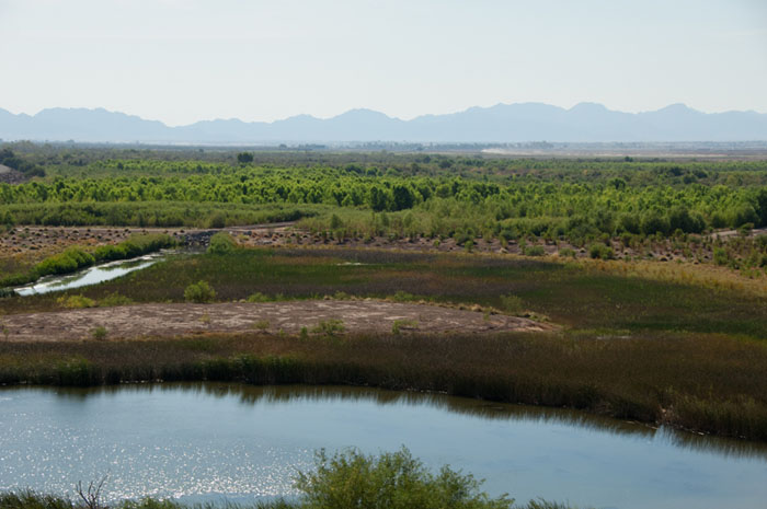 Yuma